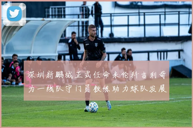 深圳新鹏城正式任命米伦科吉利奇为一线队守门员教练助力球队发展